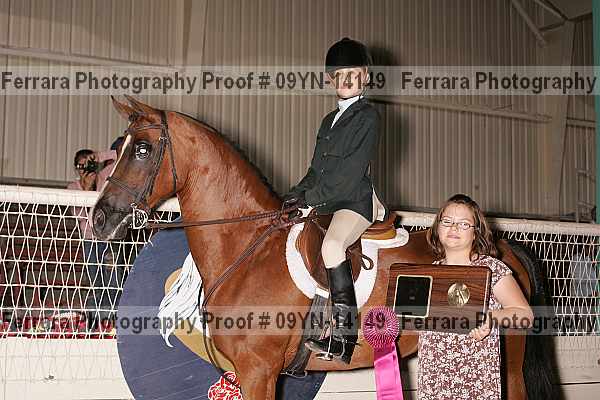 Proof 09yn-14149