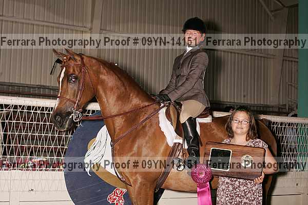 Proof 09yn-14151