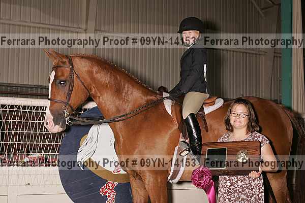Proof 09yn-14153