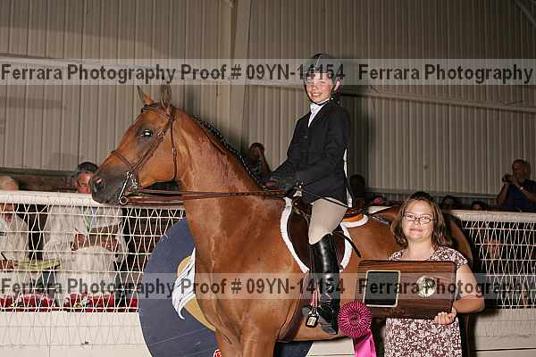 Proof 09yn-14154