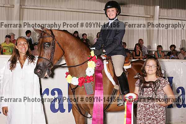 Proof 09yn-14156