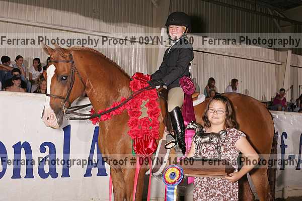 Proof 09yn-14160