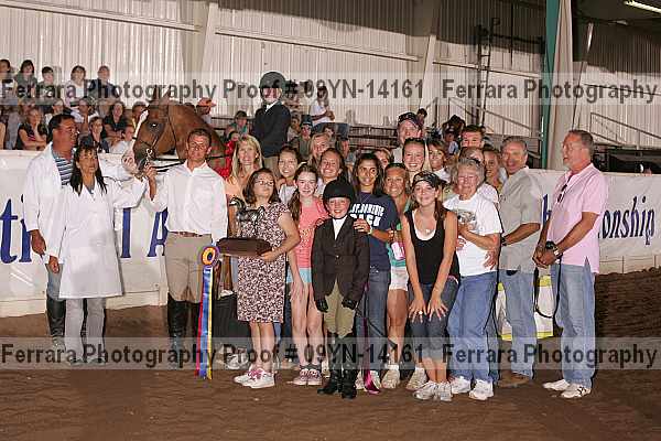 Proof 09yn-14161