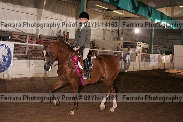 Proof 09yn-14163