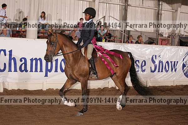 Proof 09yn-14164