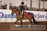 09yn-14164 proof