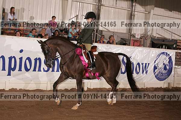 Proof 09yn-14165