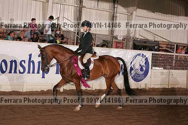 Proof 09yn-14166