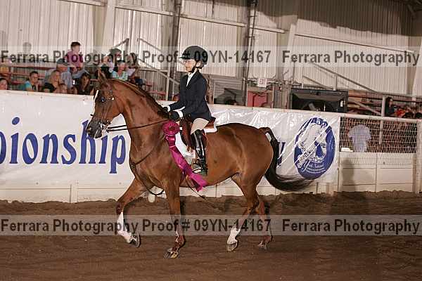 Proof 09yn-14167