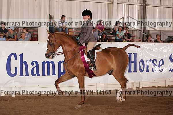 Proof 09yn-14168