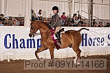09yn-14168 proof