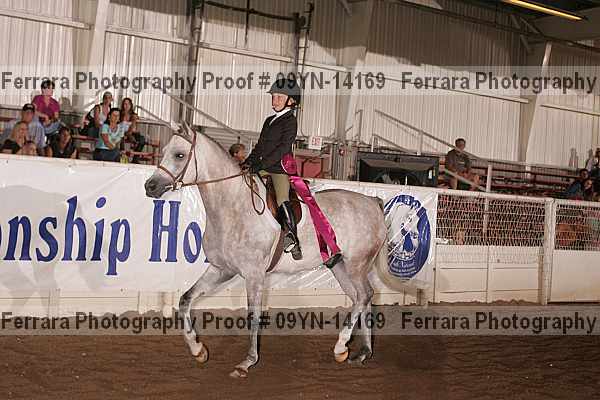 Proof 09yn-14169