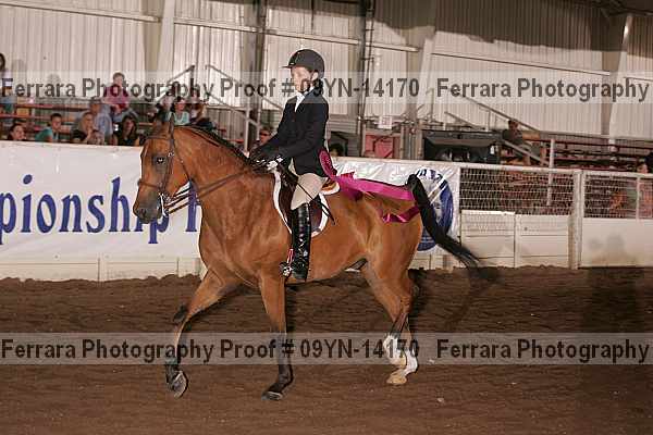 Proof 09yn-14170