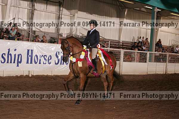 Proof 09yn-14171