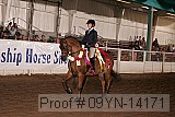 09yn-14171 proof