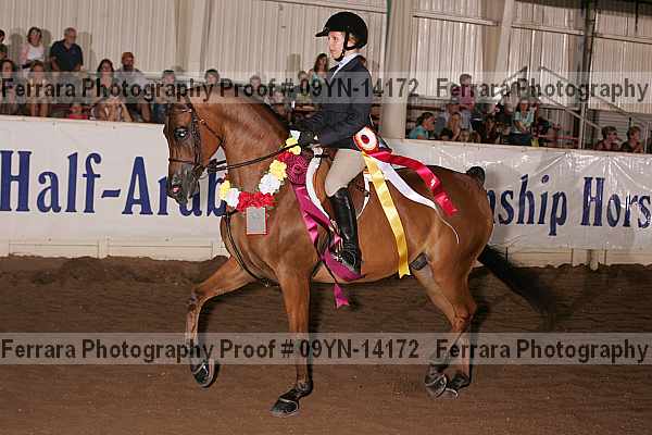 Proof 09yn-14172