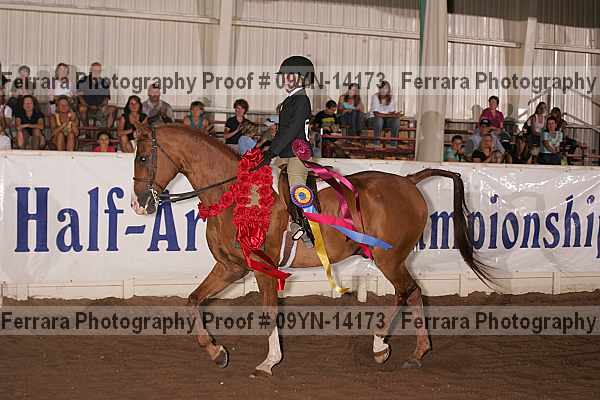 Proof 09yn-14173