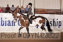 09yn-08822 proof
