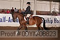 09yn-08823 proof
