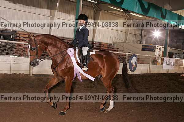 Proof 09yn-08838