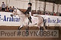 09yn-08842 proof