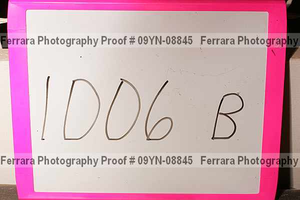 Proof 09yn-08845