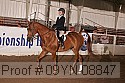 09yn-08847 proof