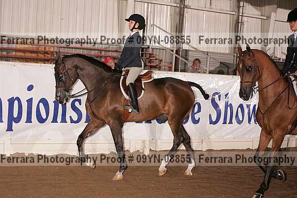 Proof 09yn-08855