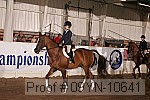 09yn-10641 proof