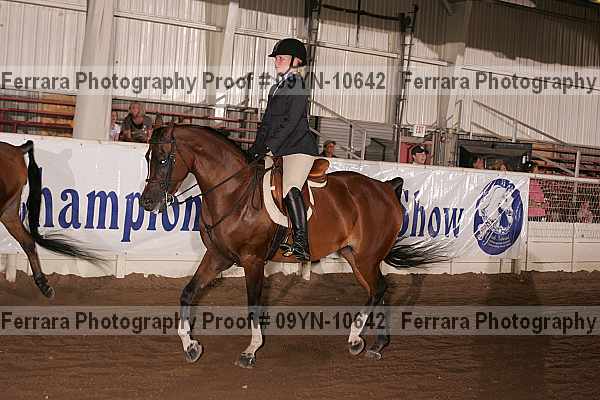 Proof 09yn-10642