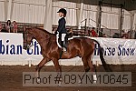 09yn-10645 proof