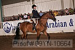 09yn-10664 proof