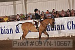 09yn-10667 proof