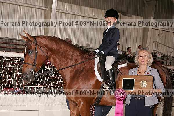 Proof 09yn-10671