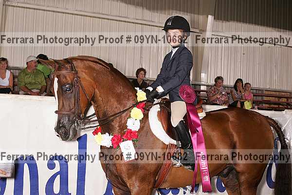 Proof 09yn-10682