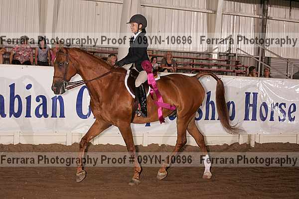 Proof 09yn-10696