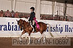 09yn-10697 proof