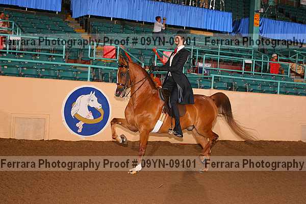 Proof 09yn-09101