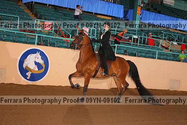 Proof 09yn-09102