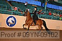 09yn-09102 proof