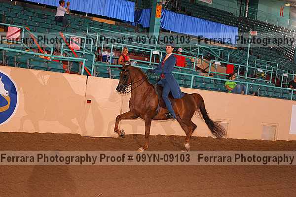 Proof 09yn-09103