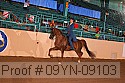 09yn-09103 proof