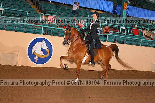 Proof 09yn-09104