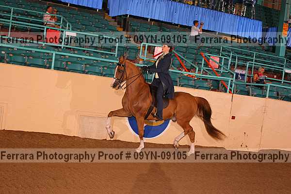 Proof 09yn-09105