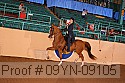 09yn-09105 proof