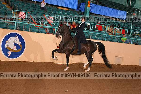 Proof 09yn-09106