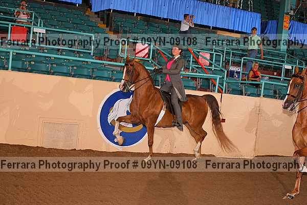 Proof 09yn-09108