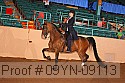 09yn-09113 proof