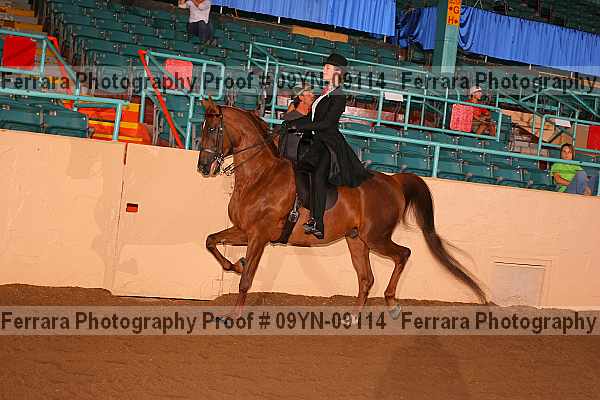 Proof 09yn-09114