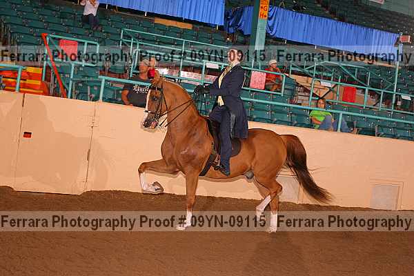 Proof 09yn-09115